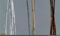 با موی سفید خداحافظی کنید!