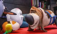 تاریخ اکران Sing 2 و The Secret Life of Pets 2