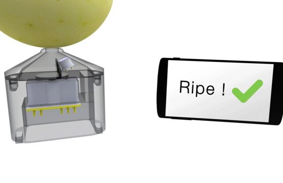 دستگاهی برای تشخیص رسیده بودن سیب!