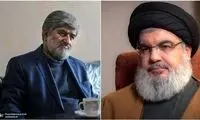 واکنش مطهری به موضع‌گیری نصرالله درباره مکرون