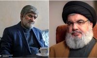 واکنش مطهری به موضع‌گیری نصرالله درباره مکرون