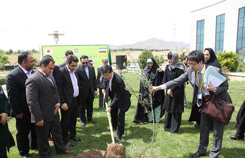 کاشت درخت صلح بین ایران و ژاپن +عکس