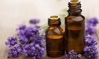یافتن یک ترکیب گیاهی جدید برای بهبود زخم‌ها