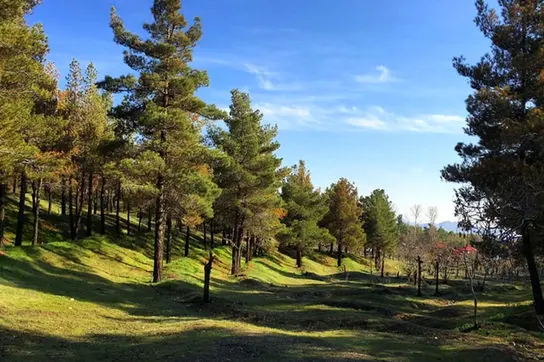 تعطیلی چهار بوستان جنگلی تهران در روز سیزده بدر!