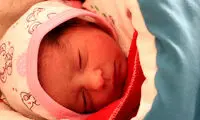 ماجرای تلخ نرخ فروش نوزاد کرجی