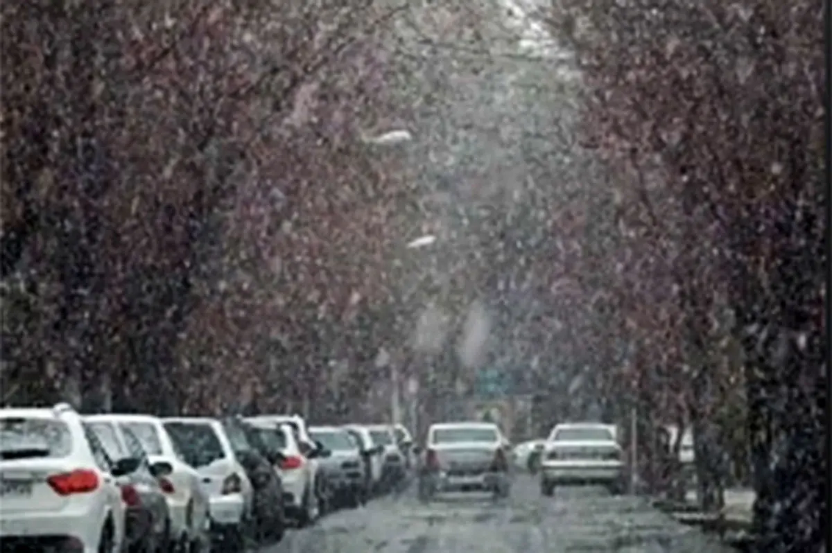 بارش برف جلوه‌ای زیبا به خیابان‌های آباده فارس داد