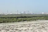 تصاویری از وضعیت عجیب در سواحل امارات