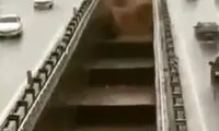 لحظه هولناک ورود سیل به بزرگراه باکری تهران