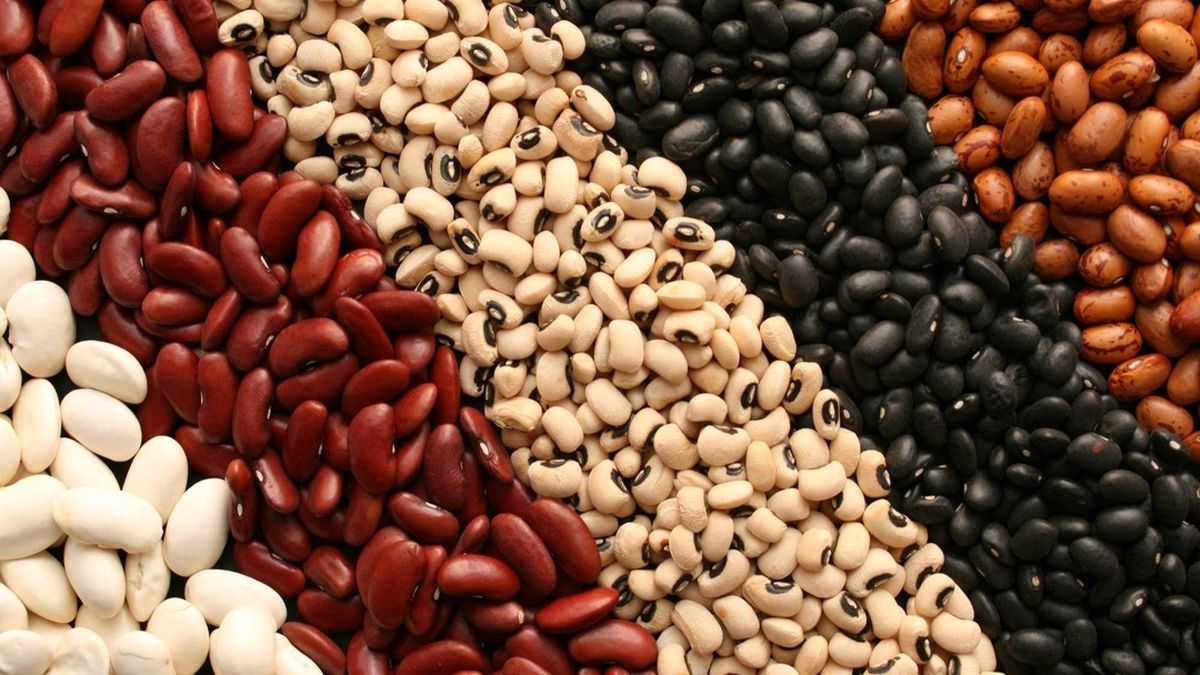   قیمت لوبیا در بازار هم‌قیمت گوشت شد 