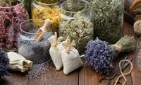 ۷ گیاه معجزه‌آسا برای درمان سرماخوردگی و آنفولانزا