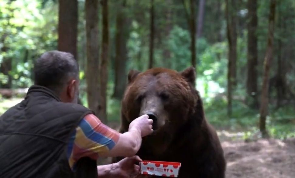 شیرینی خوردن خرس عظیم‌الجثه از دست انسان