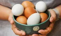 تخم‌ مرغ چگونه در غلبه بر بیماری کمک می‌کند؟
