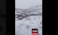 برف این نقطه از کشور را سفیدپوش کرد
