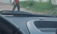 حمله ناگهانی گاو وحشی به موتورسوار در حال حرکت