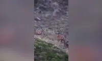ویدئو خانواده گوزن‌های زیبا در طبیعت بکر ایران