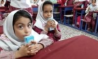 چگونگی توزیع شیر در مدارس اعلام شد