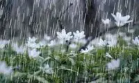 این استان‌ها منتظر رگبار و رعد و برق باشند