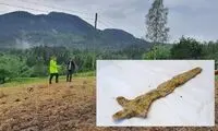 کشاورز خوش‌شانس، شمشیر وایکینگ‌ها را پیدا کرد