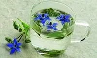 دمنوش‌های گیاهی خواب‌آور و آرام‌بخش را بشناسید