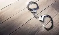 هری پاتر در تهران به جرم سرقت دستگیر شد
