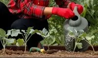 درمانی گیاهی برای کاهش اضطراب و استرس