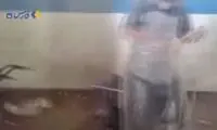  تصاویر منتشر شده باعث پلمب کشتارگاه یزد شد