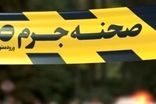ماجرای قتل مسافر آلمان در تهران