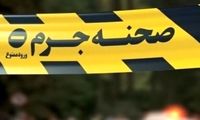 ماجرای قتل مسافر آلمان در تهران