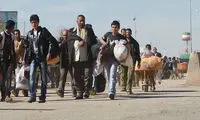 سلب بدیهی‌ترین حقوق انسان از افغان‌ها در ایران