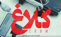 اولین ویدیو از سریال جدید هادی حجازی‌فر منتشر شد