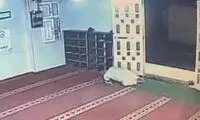 لحظه تکان‌دهنده مرگ یک پیرمرد در ورودی مسجد