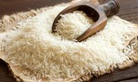 تغییر قیمت برنج ایرانی محسوس شد