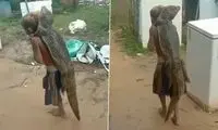 کروکودیل زنده روی دوش پسر بچه شجاع!