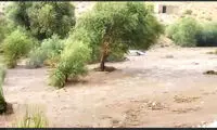 اعلام اسامی 20قربانی حادثه سیل فارس 