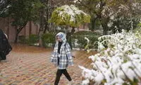 بارش اولین برف پاییزی در اردبیل
