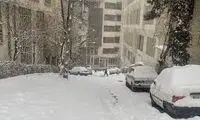 تصاویر دلربا از حجم بارش برف در تهران