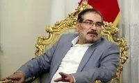 واکنش شمخانی به حمله تندروها به دولت پزشکیان