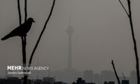 وضعیت تعطیلی تهران برای فردا اعلام شد