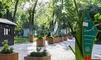 ویدیویی از پارک قیطریه که زاکانی باید فورا ببیند