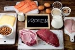 رژیم‌های پُرپروتئین چه بلایی سر روده‌ شما می‌آورند؟