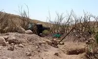آمار جستجوی گنج در جنگل‌های هیرکانی بالا رفت!