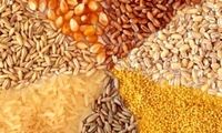 قیمت مصوب جدید نهاده دام، روغن و شکر اعلام شد