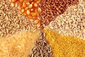 قیمت مصوب جدید نهاده دام، روغن و شکر اعلام شد