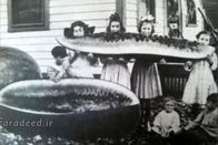 10 عکس عجیب و خنده‌داری که هرگز در زندگیتان ندیده‌اید