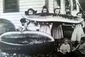 10 عکس عجیب و خنده‌داری که هرگز در زندگیتان ندیده‌اید