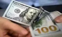 پیش‌بینی عجیب یک فعال اقتصادی از قیمت دلار