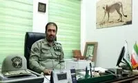 برداشت گیاهان دارویی در دماوند ممنوع شد