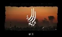 ۱۴ کارگردان برای جنگ سریال می‌سازند