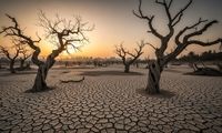 پارک جنگلی‌های تهران خشک می‌شوند؟