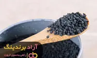 مسیر زندگیم با ادویه‌ها عوض شد 